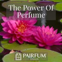 PERFUME TREND PINK FLOWERS ON LILIPADS PERFUME TREND PINK FLOWERS ON LILIPADS