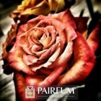 PERFUME TREND RED ROSE ARTWORK PERFUME TREND RED ROSE ARTWORK