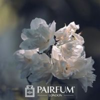 PERFUME TREND WHITE FLOWER PERFUME TREND WHITE FLOWER