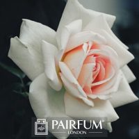 PERFUME TREND WHITE PINK ROSE PERFUME TREND WHITE PINK ROSE