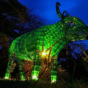 St Patricks Day Green Nyati Buffalo Statue Kenya St Patricks Day Green Nyati Buffalo Statue Kenya