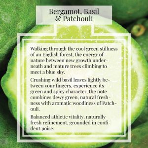 Pairfum London Perfume Bergamot Basil Patchouli Description